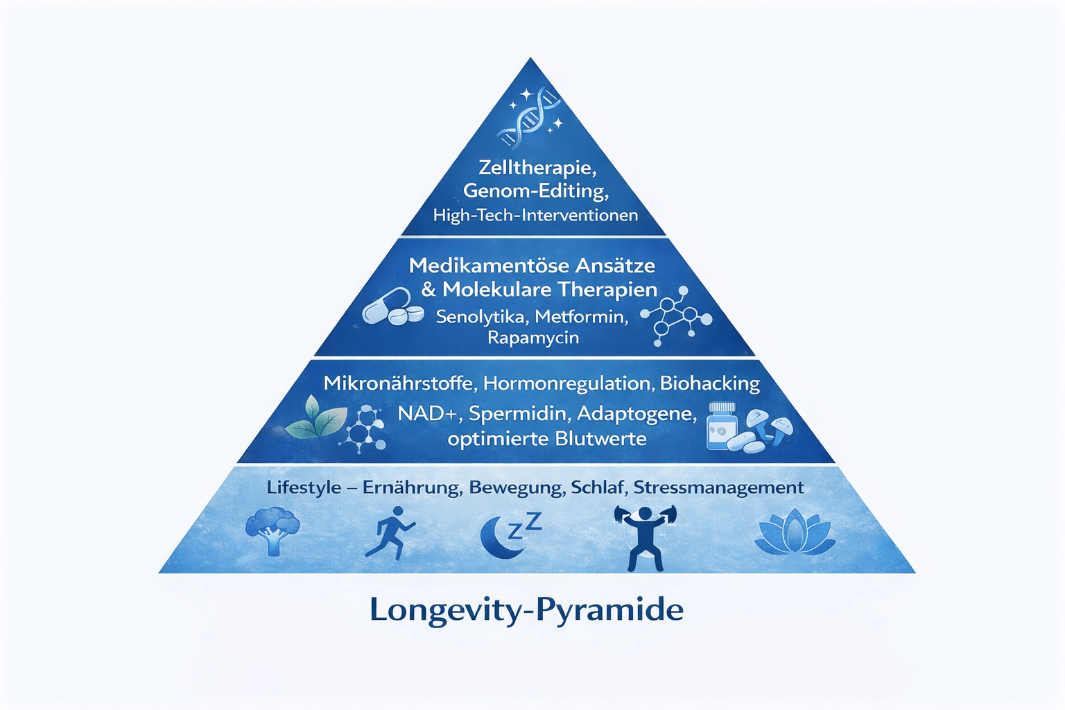 Longevity Pyramide KI-Bild 4-26 PNG